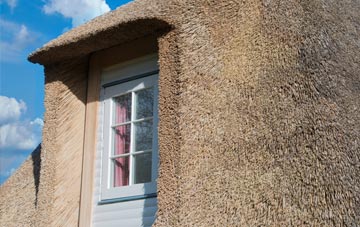 Dumpton thatch roof disadvantages