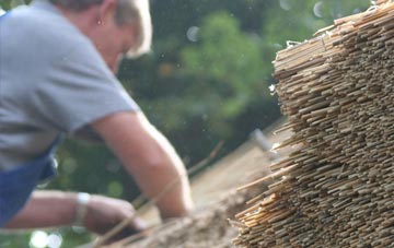 professional Dumpton thatchers